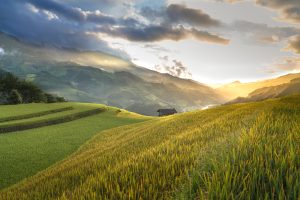 Consejos para signos de Tierra el Horóscopo del Zodíaco